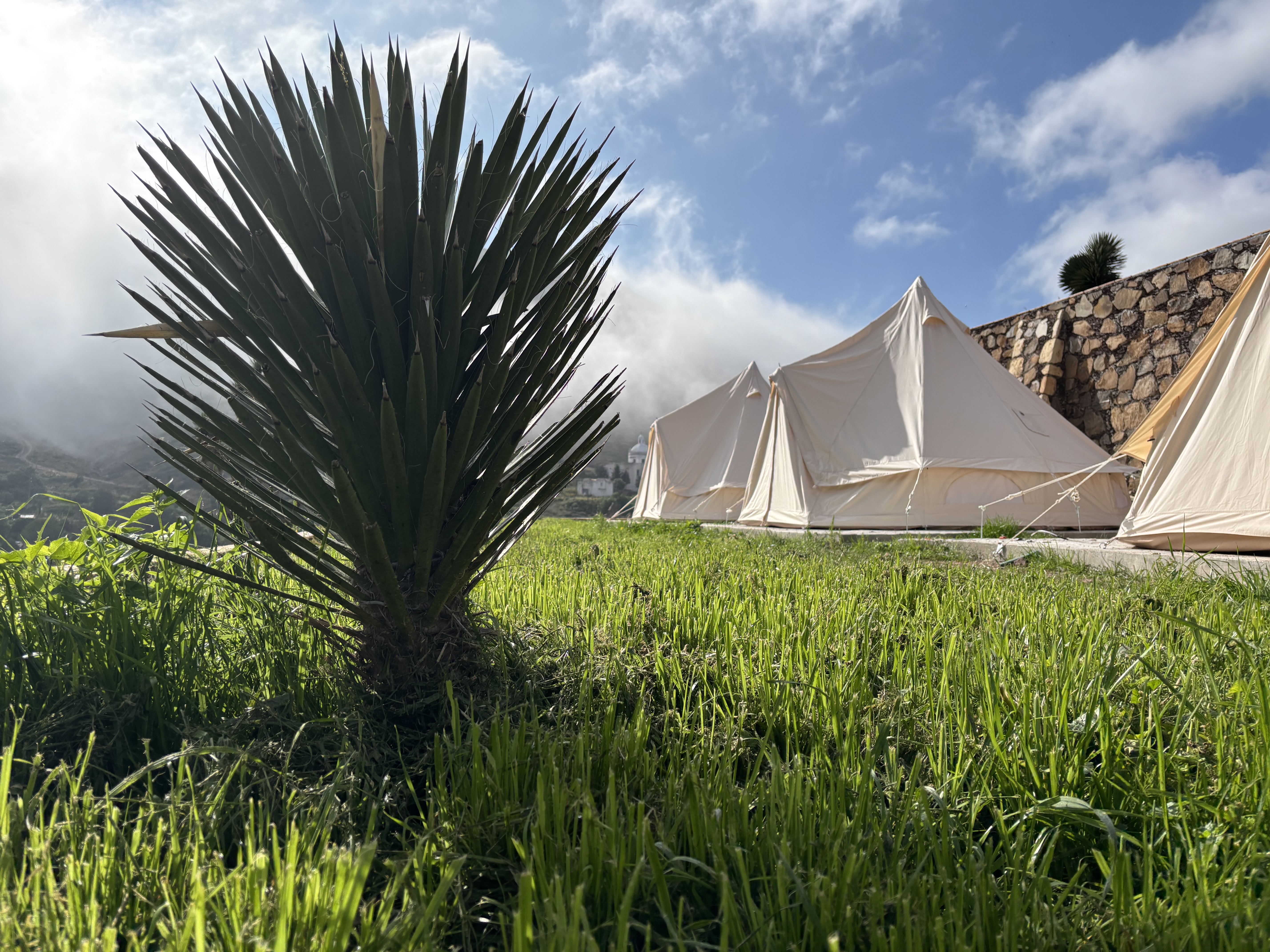 3. Tienda de campaña